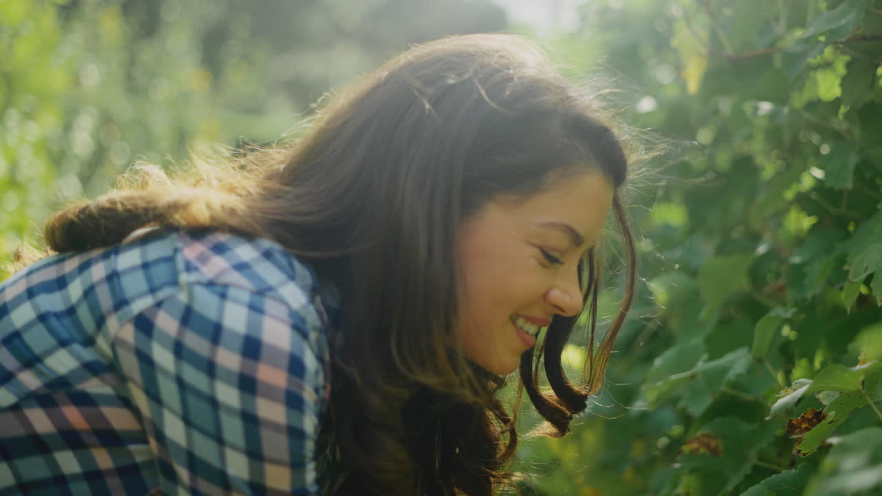 포도 에서 포도 를 수확 하는 여자