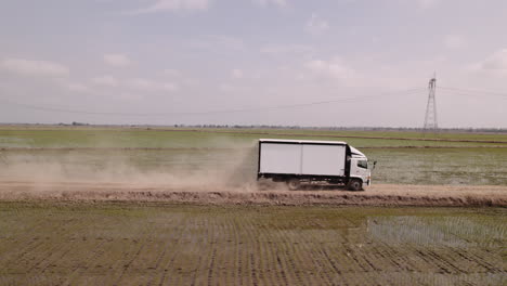 Drohnenaufnahme-Eines-Hino-Trucks,-Der-Reisfelder-Im-Ecuatorianischen-Gebiet-Von-Babahoyo-Durchquert