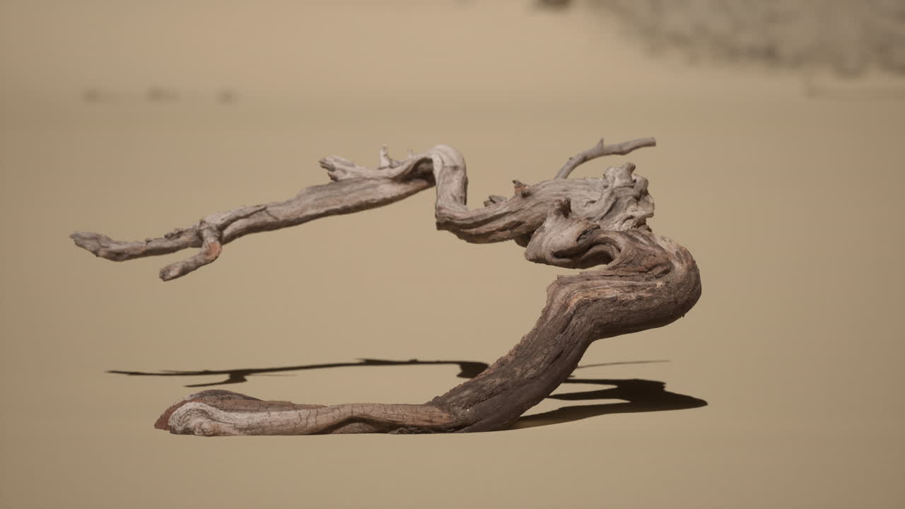 дрифтвуд в пустыне