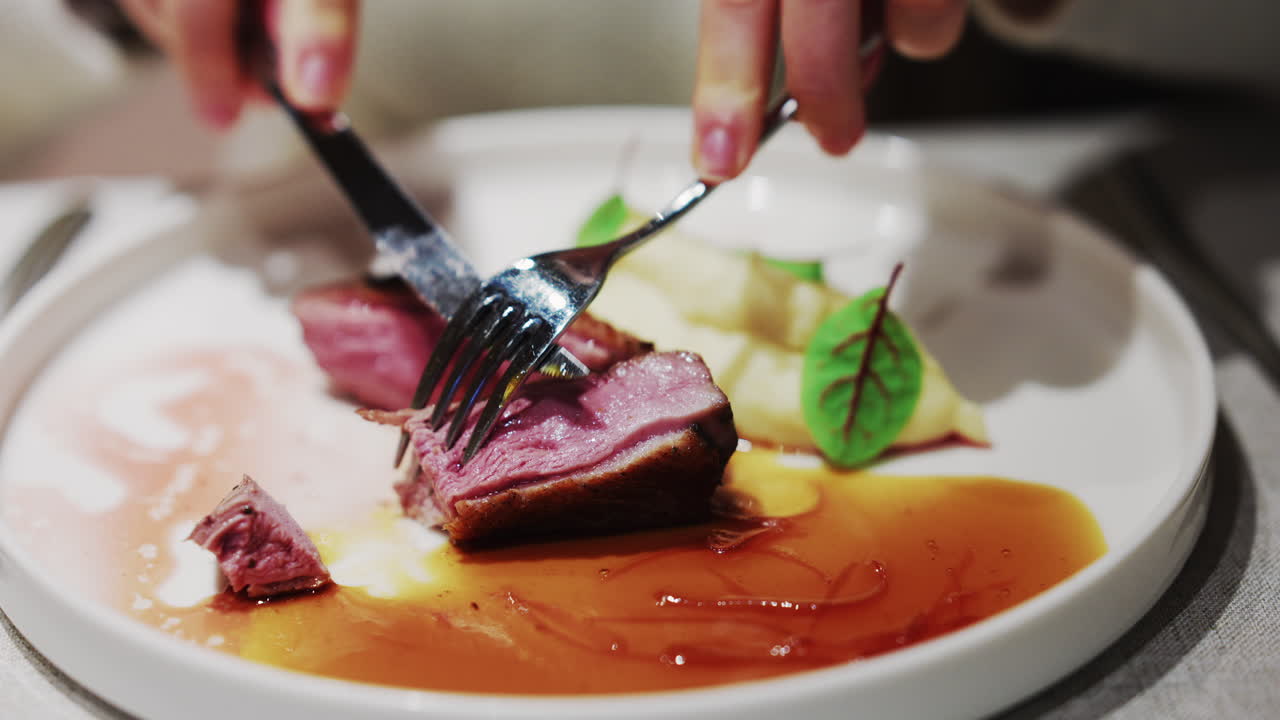 Close up of a gourmet meat dish served with sauce and mashed vegetables on a white plate