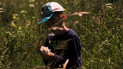 niño recogiendo flores en un campo