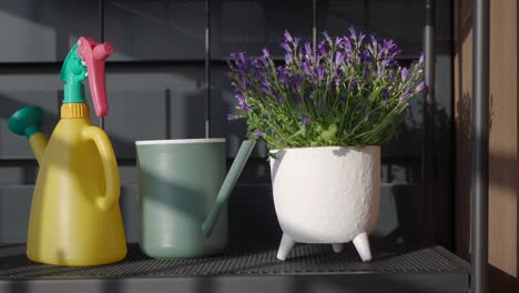 watering cans and potted bellflowers