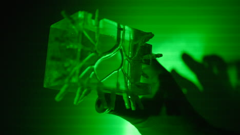 scientist holds a silicone sample in his hand and checks the integrity of veins, using green laser light