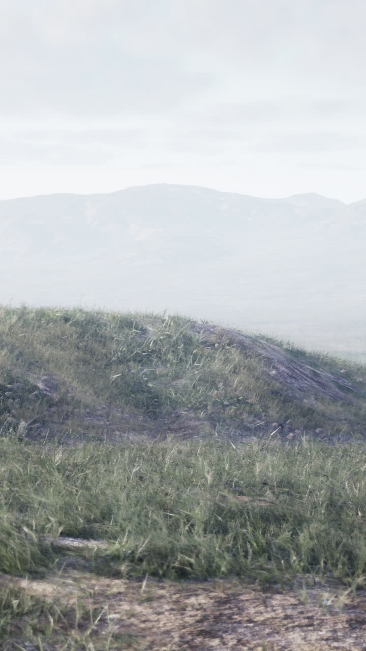 paisaje con colinas verdes y majestuosas montañas en la distancia