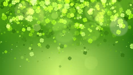 shamrock st. patrick's day green leaves loop background. backdrop with growing shamrock leaf. copy text.
