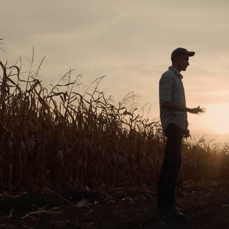 Two-farmers-high-five