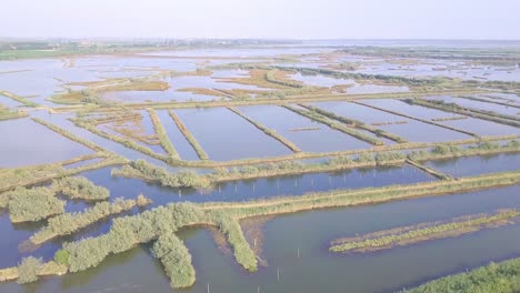 Drone-flight-over-swamps-and-flooded-fields