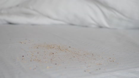 crumbs on a bed sheet