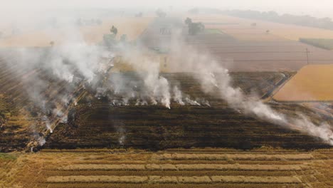 Aerial-view-of-the-burnt-farm-land