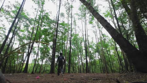 Un-Niño-Está-Caminando-Para-Disfrutar-De-La-Naturaleza-En-La-Vista-Lateral-Trasera-Del-Bosque