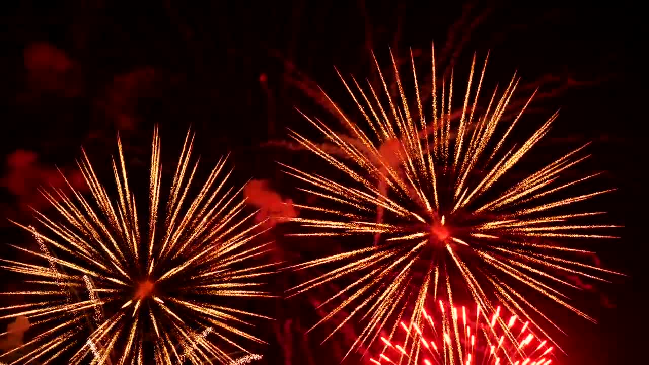 the fireworks in the night sky