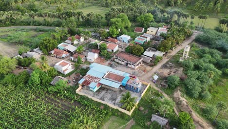 scenic village fields in sivagangai surrounded by natural greenery