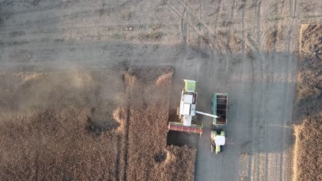 combine-harvester-emptying-collected-grains-into-tractor-cart