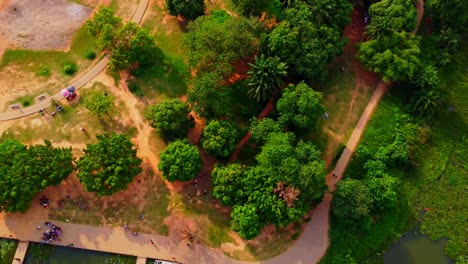 beautiful jib down of lush, green trees in jabi recreational park in the capital city of abuja, nigeria