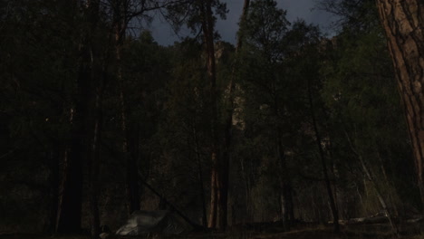 Timelapse-Del-Atardecer-De-Campamento-En-El-Bosque-Con-Fuego-De-Campamento-Y-Cielo-Nocturno-Arriba