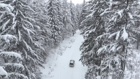 Toma-Aérea-De-Un-Camión-Todoterreno-Que-Recorre-Una-Carretera-Nevada-Entre-árboles-Cubiertos-De-Nieve-En-El-Bosque-En-Un-Día-Frío-De-Invierno---Toma-De-Drones,-ángulo-Bajo,-Levantamiento