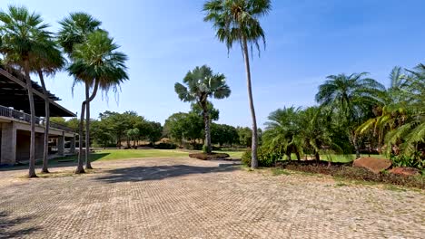 tropical golf course landscape