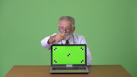 hombre barbudo y guapo en el fondo verde.