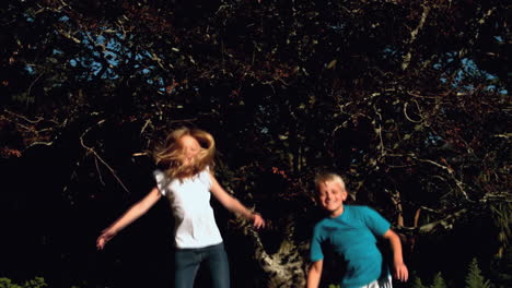 happy siblings bouncing on a trampoline