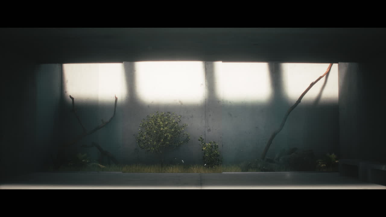 Minimalist Concrete Interior with Plants