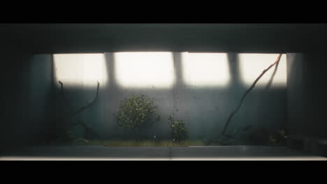 minimalist concrete interior with plants