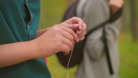 close-up of hikers walking along forest trail, one holding a strand of grass and playfully cutting it with fingers, another hiker with a black bag is partially visible, blurred in background