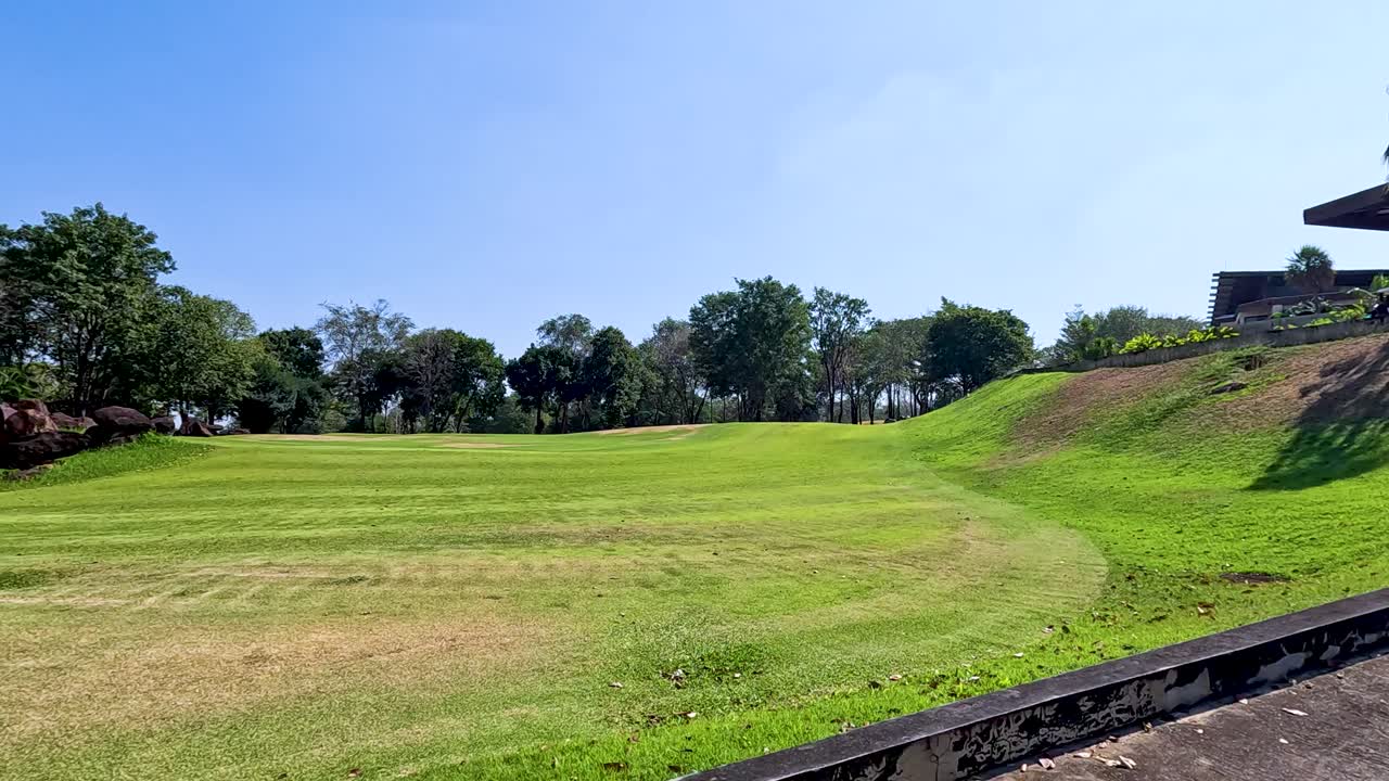 나무 와 길 이 있는 울창 한 초록색 풍경