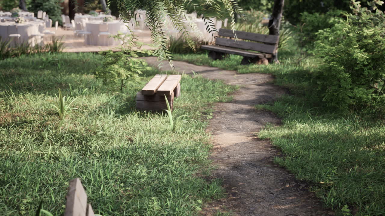 banco de madera en la naturaleza por el árbol