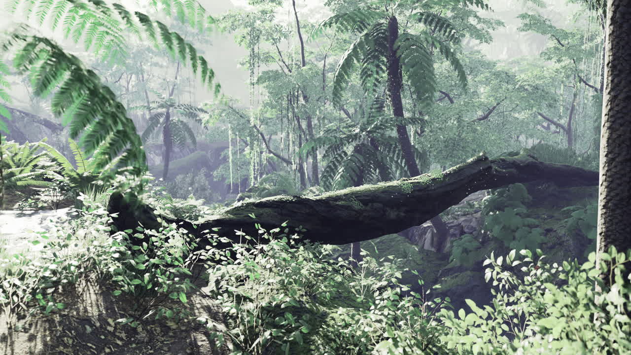 Lush green rainforest with dense foliage and sunlight filtering through trees