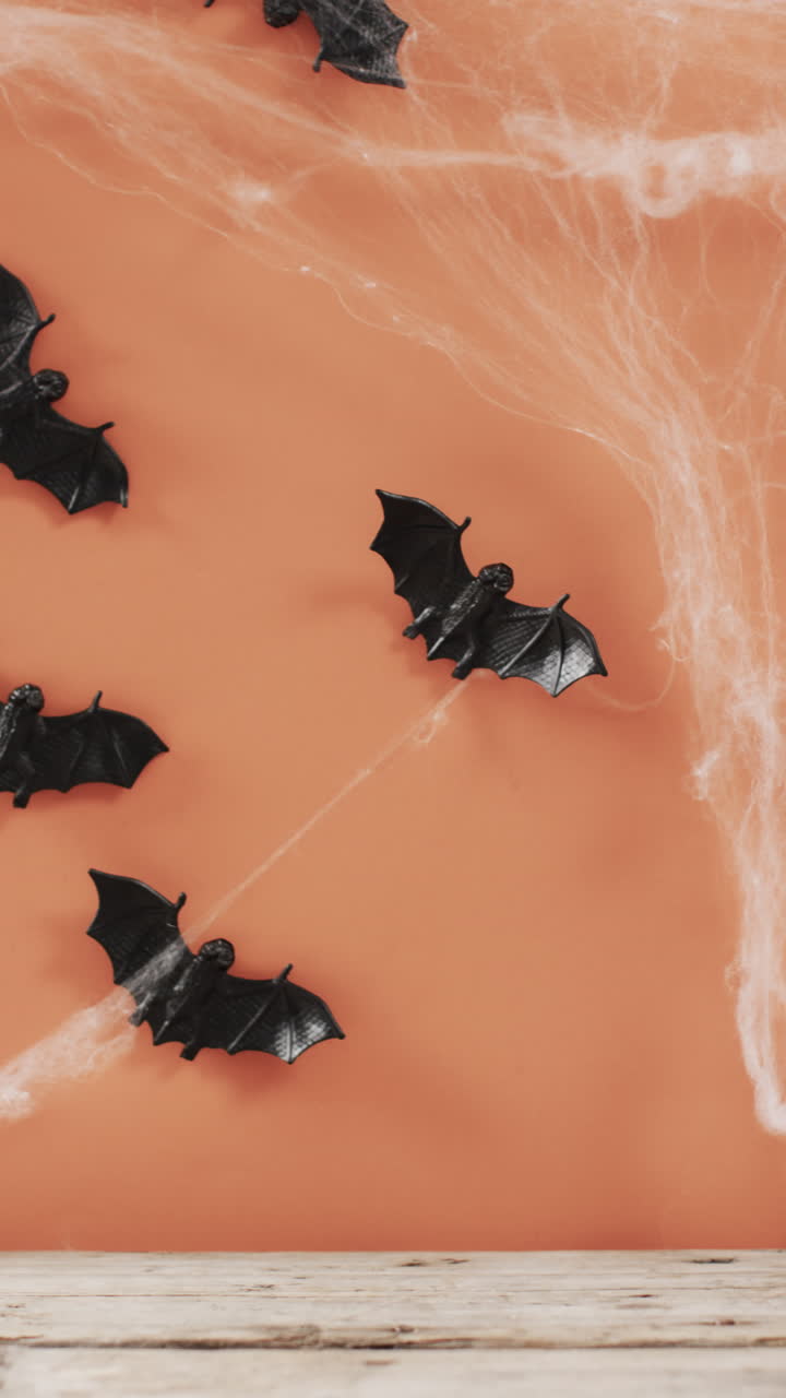 Vertical video of halloween bats and cobweb with copy space on orange background