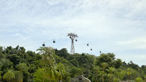 wide shot of cableway at sentosa island singapore between forest jungle cloudy day rope car teleferico