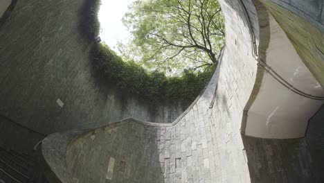 tree on underground staircase at park