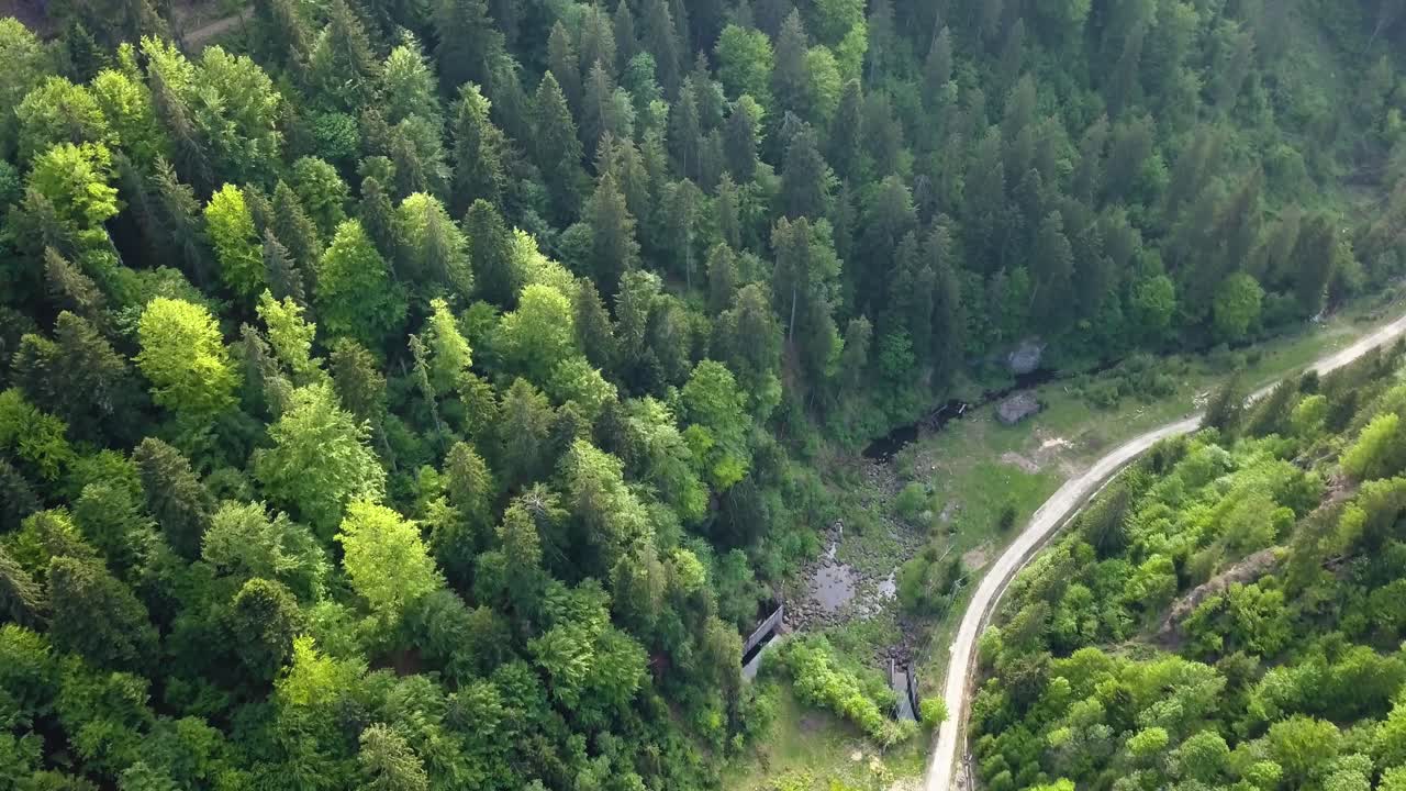 Toma panorámica aérea de un bosque donde se han talado árboles en un valle