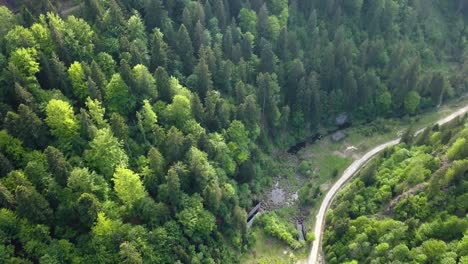 aerial panning shot of woodland where trees have been cut in valley