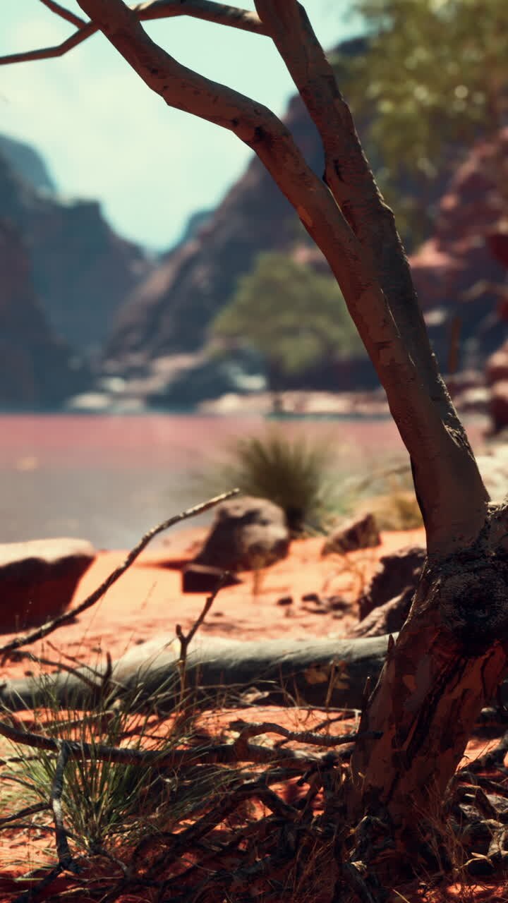 Trær ved Coloradoelven i Grand Canyon