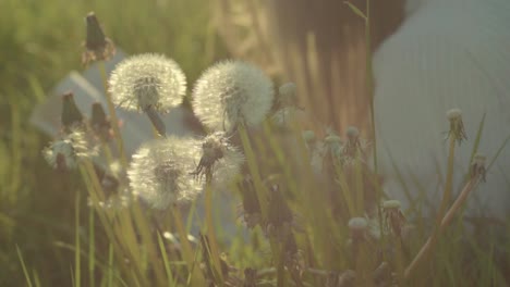 Frau-Entspannt-Sich-Auf-Der-Sommerwiese-Und-Liest-Ein-Buch