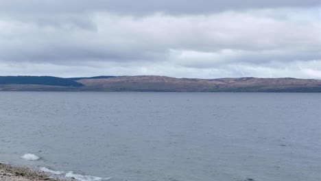 Observar-Una-Manada-De-Delfines-Acercarse-Y-Nadar-A-Lo-Largo-De-La-Costa-En-La-Isla-De-Arran,-En-El-Oeste-De-Escocia,-Reino-Unido.