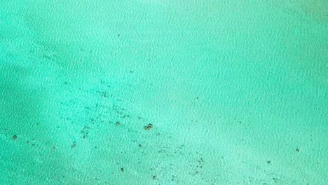 las ondas lentas del agua sobre el arrecife poco profundo
