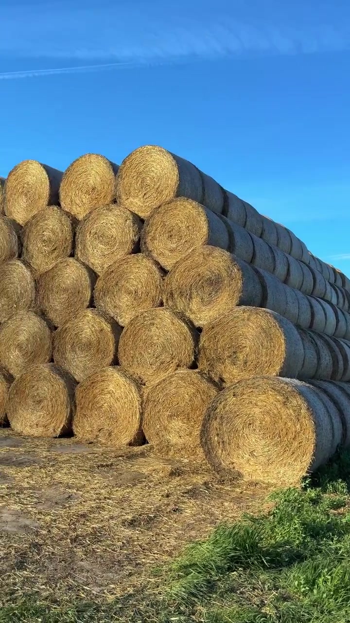 Grote ronde hooibalen rustend in een vredig landelijk veld omringd door groene heuvels en bergen. Ideaal voor landbouw, boerderij, oogstseizoen, duurzaamheid, plattelandsleven. Verticale beelden