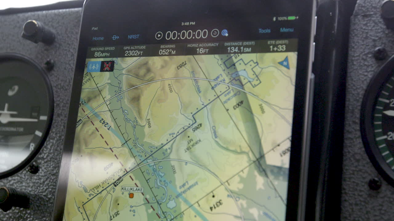 instrumentos voladores en un avión bush