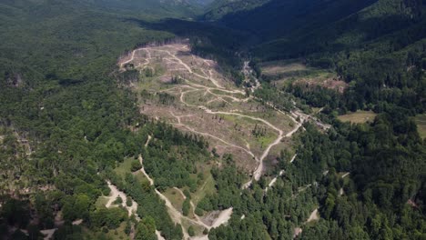 aerial: hill forest deforestation in romania, central europe - drone flying pan shot