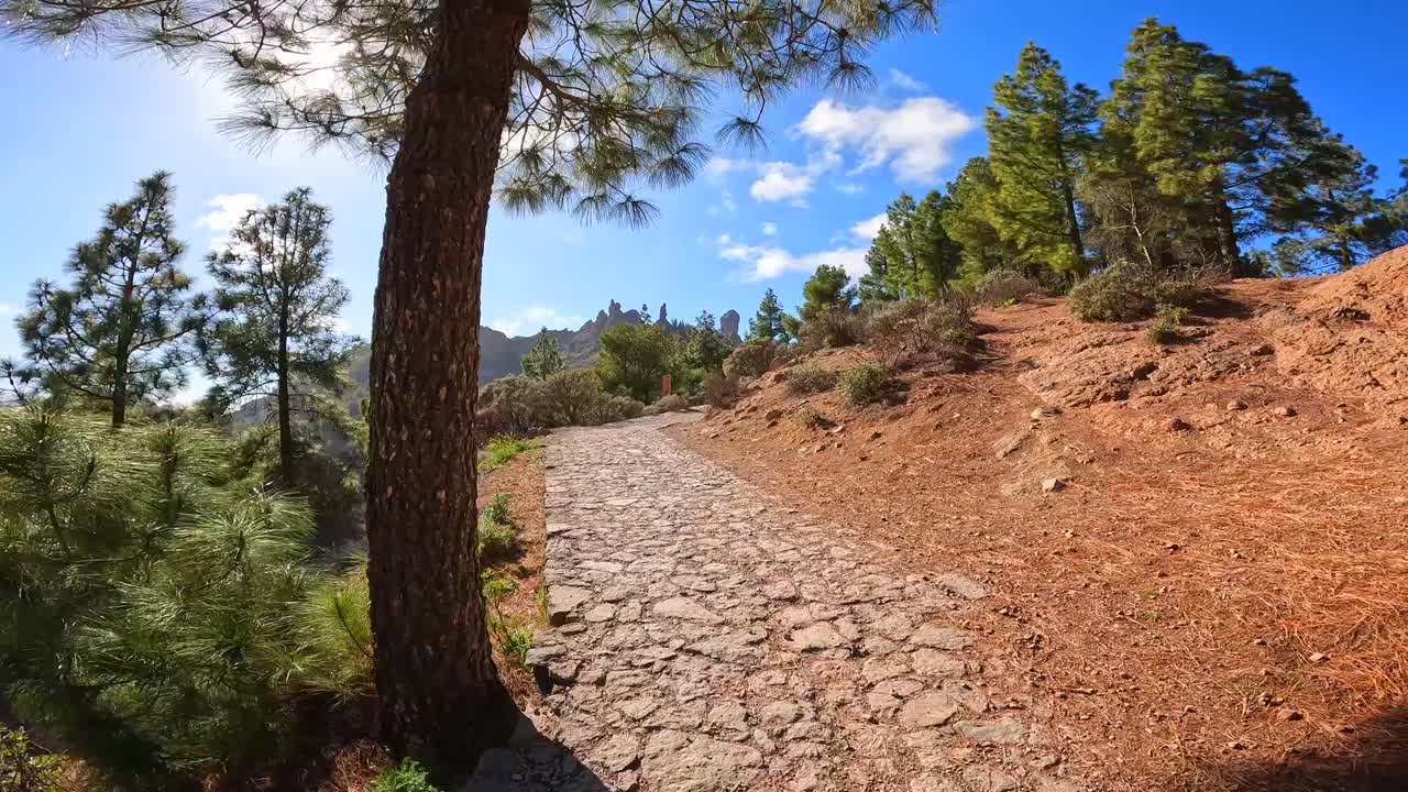 Sentiero panoramico di montagna con alberi e luce solare