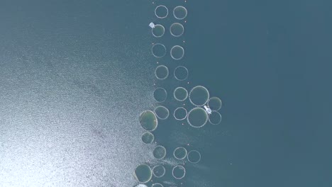 fish farm