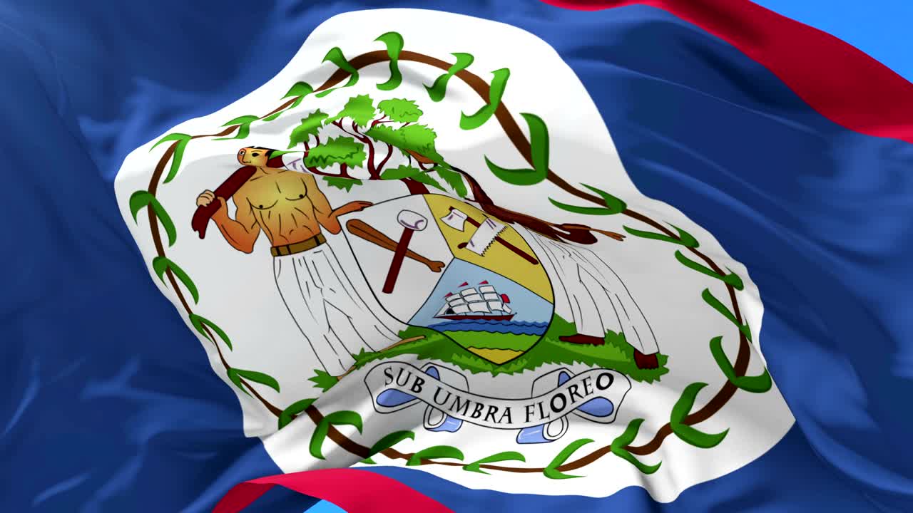 bandera de belice agitando el viento en lento con el cielo azul, bucle