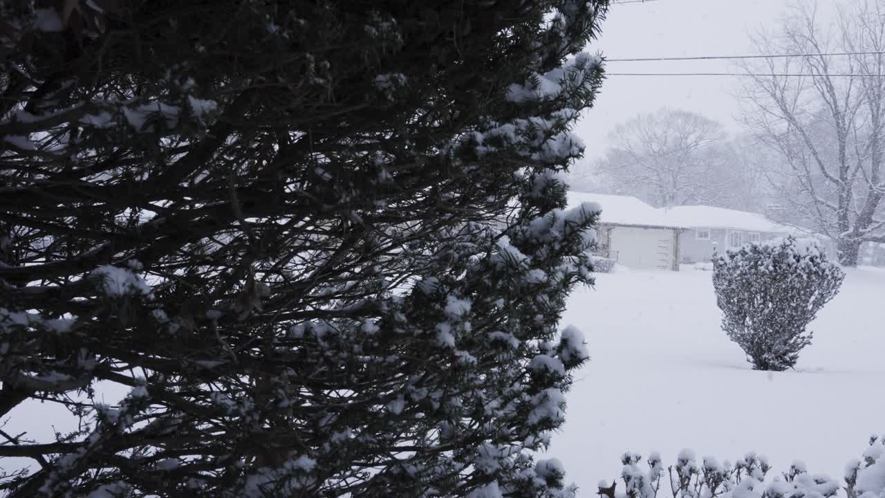 교외 마당에 무거운 조각으로 떨어지는 눈의 슬로우 모션