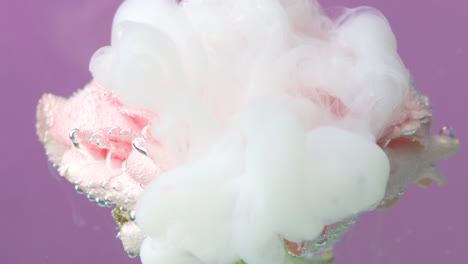 pink rose underwater with smoke and bubbles