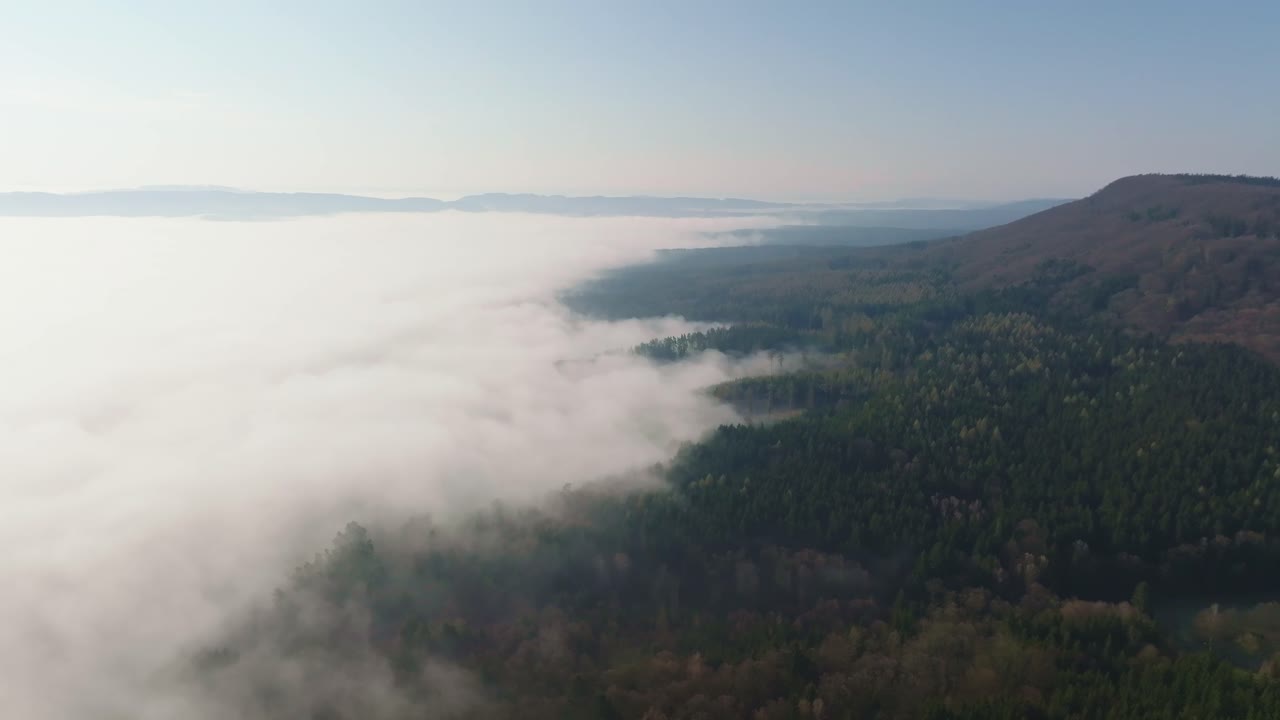 체코 의 hřebeč 의 시골 을 가로질러  ⁇ 은 날 에 밀집 한 숲 이 펼쳐져 있다