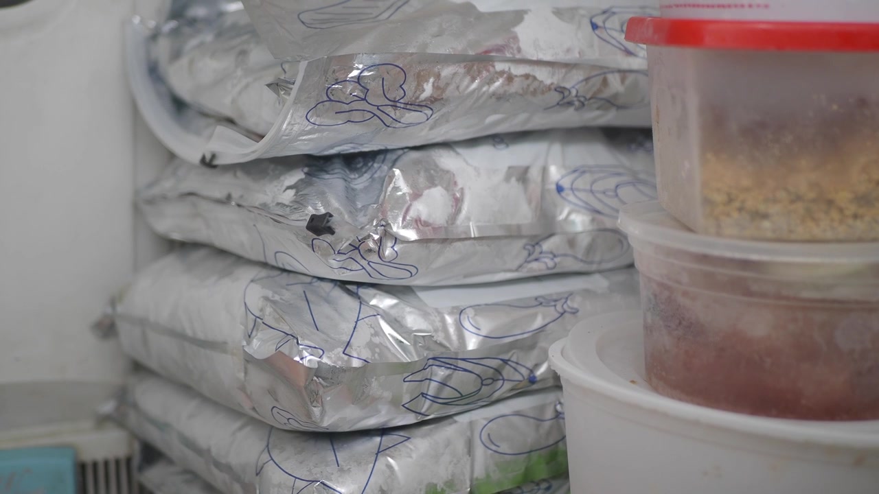 Frozen Food Packages Stacked Inside a Home Freezer