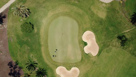 Vista-Aérea-De-Arriba-Hacia-Abajo-De-Los-Golfistas-En-Un-Campo-De-Golf-El-Paraíso-En-Marbella,-España