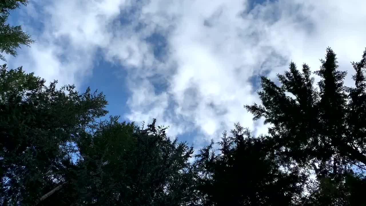 간단한 자연 배경